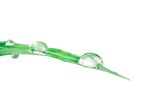 新鲜的水珠落在绿色的草地上，水波荡漾图片下载