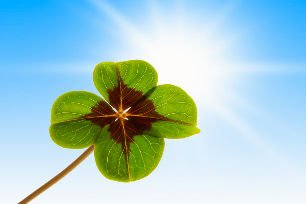 蓝天上好运连连图片下载