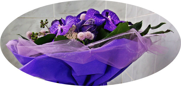 一束美丽的鸢尾花，排列图片下载