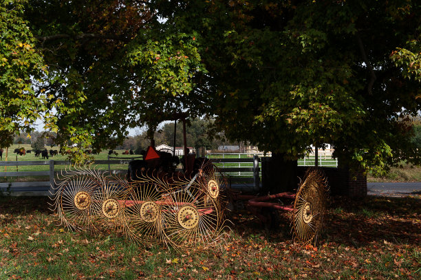 小麦采集者图片下载