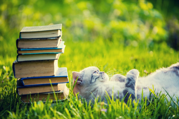 可爱的小猫躺在草地上靠近一堆书。图片下载
