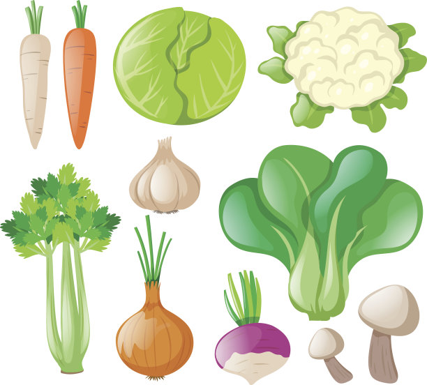不同种类的新鲜蔬菜图片下载