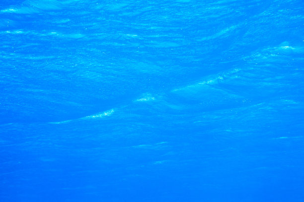 宁静的水下图片下载