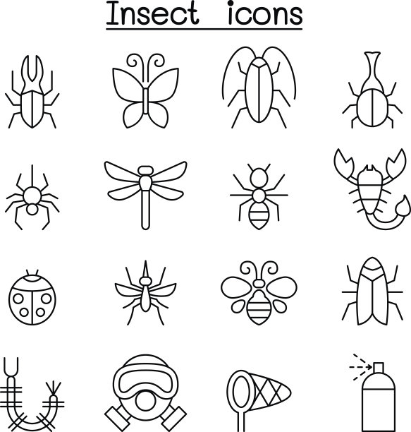 昆虫和臭虫图标设置在细线风格图片下载