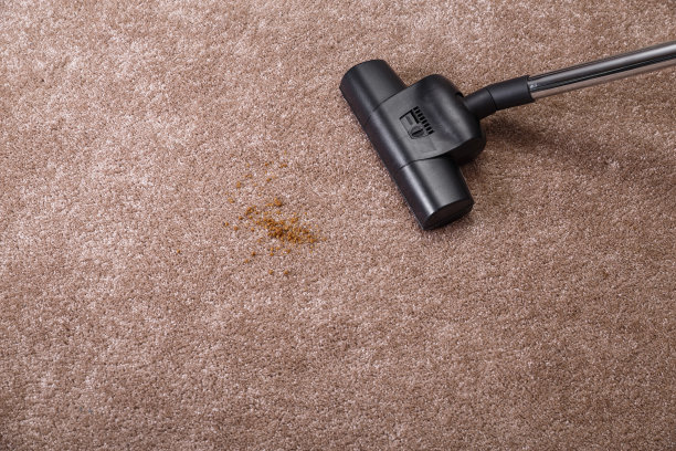 用吸尘器吸地毯。做家务。图片下载