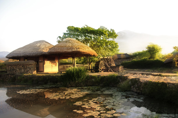 茅草屋和池塘图片下载