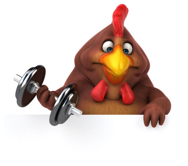 有趣的鸡- 3D插图图片下载
