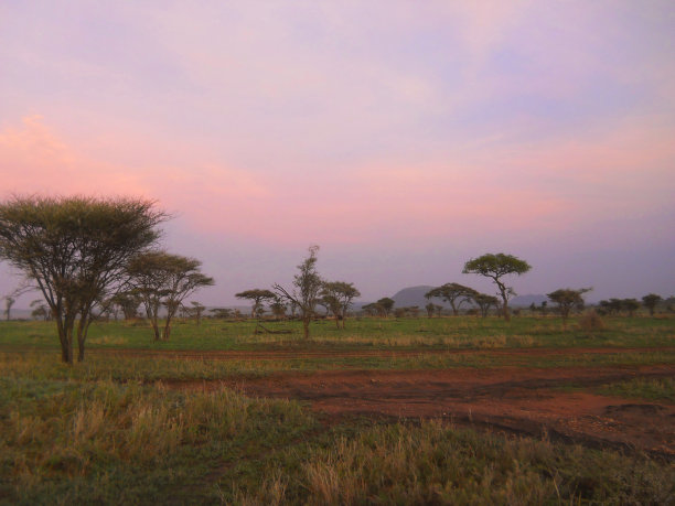 黎明在坦桑尼亚图片下载