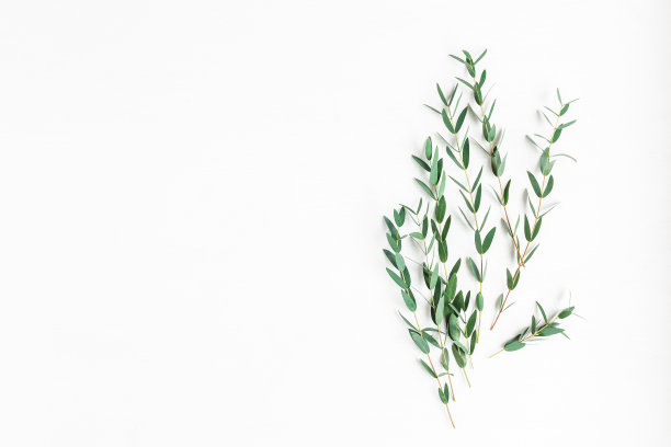 桌子桌面图片素材ID：161203744