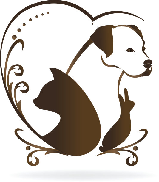 猫、狗、兔子和鸟的象征图片下载