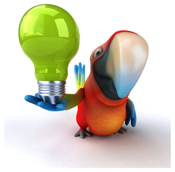 有趣的鹦鹉图片下载