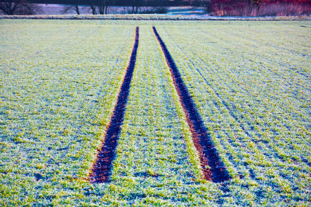 冬季雪地上的轮胎痕迹图片下载