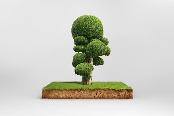 立体剖面有地下土壤和蘑菇状植物图片下载