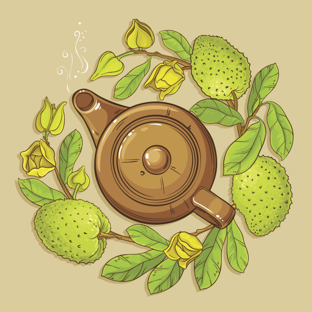 Soursop茶矢量图素材图片