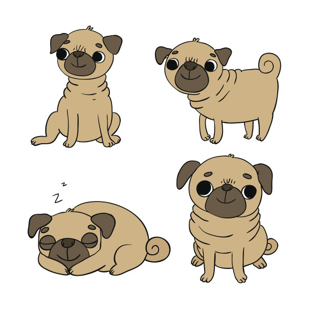 可爱的哈巴狗。狗。图片下载