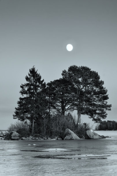 冬季有月亮的海景图片下载