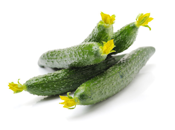 白色表面上新鲜采摘的黄瓜图片下载