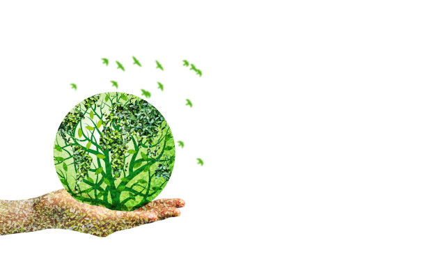 白色背景上的绿色世界素材图片