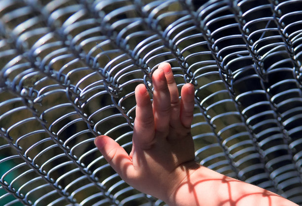 一个孩子的手在网格上图片下载