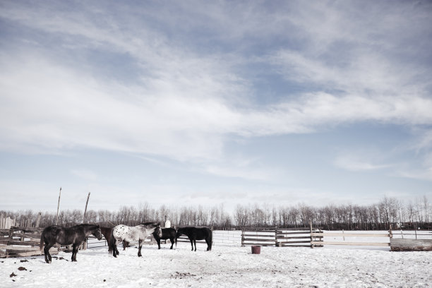 阿米马尔的世界图片下载