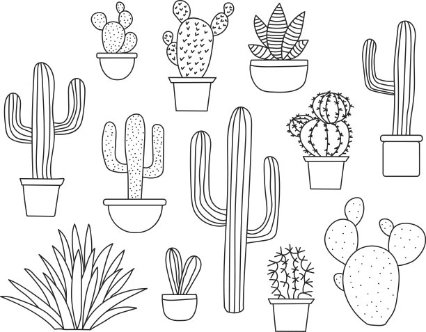 仙人掌矢量集，手绘收集各种多肉植物和仙人掌。没有填充的线条艺术。素材图片