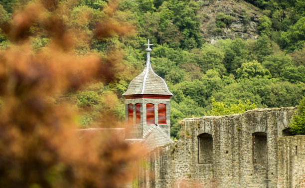 树木和建筑物的低角度视图图片下载