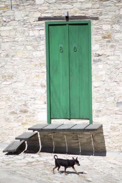 老绿门带着狗走过图片下载