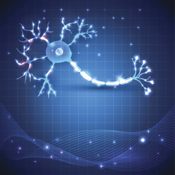 神经细胞图片下载