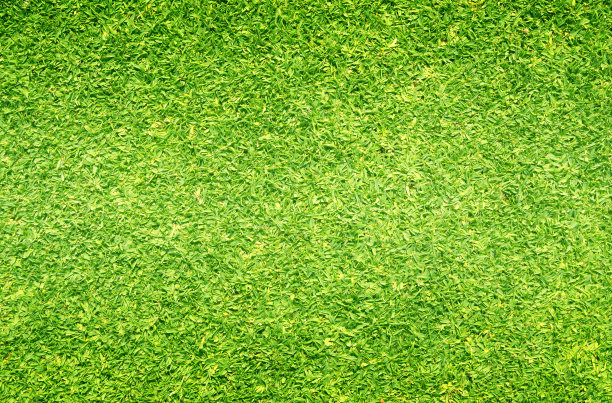 草地背景高尔夫球场绿色草坪素材图片