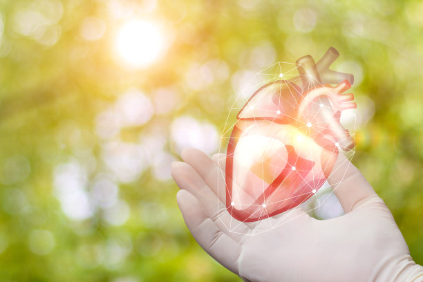 心脏在外科医生手中。图片下载