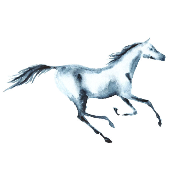 白色骏马水彩手绘插画素材图片