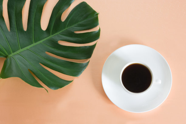 一杯黑咖啡和绿色大叶子的植物在粉红色的背景。概念和俯视图。图片下载