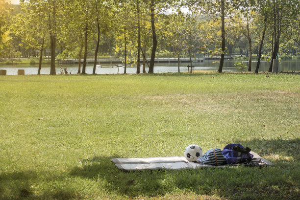 绿色美丽的公园里有足球图片下载