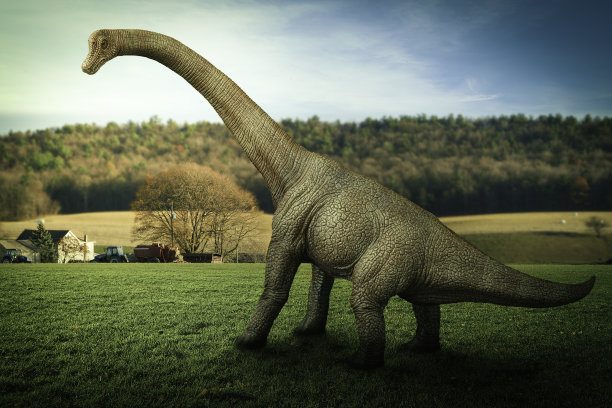 恐龙的3 d渲染图片下载