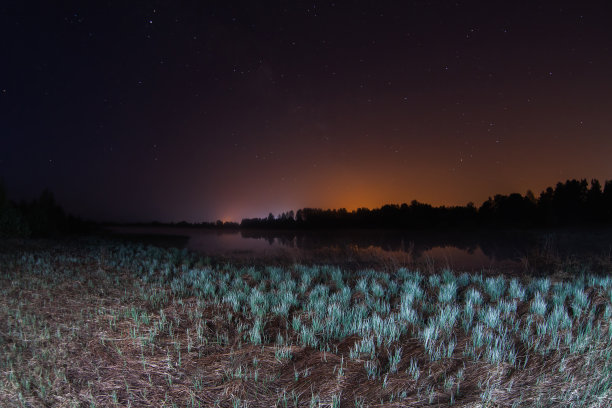 繁星点点的夜晚，湖面上的星星，手电照亮的绿草图片下载
