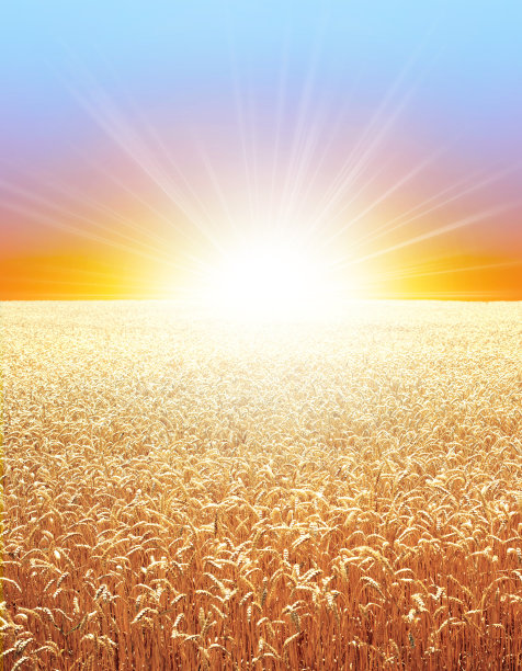 夏天的乡村的感觉图片下载