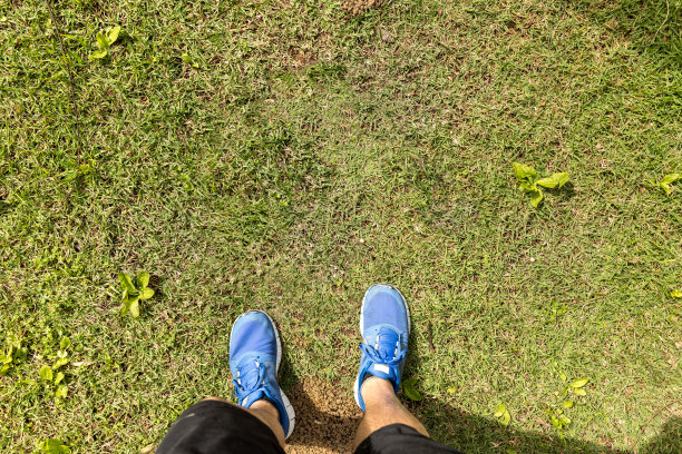 POV在绿色的草地上行走图片下载