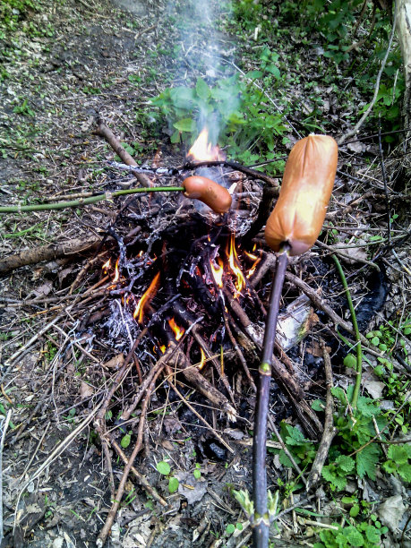 在森林里用火煮香肠-垂直照片图片下载