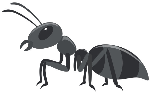 白色背景上的黑色蚂蚁图片下载