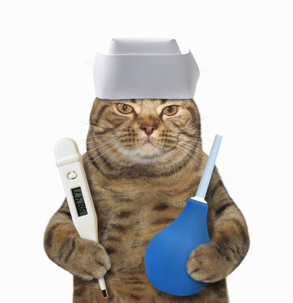 猫医生3图片下载