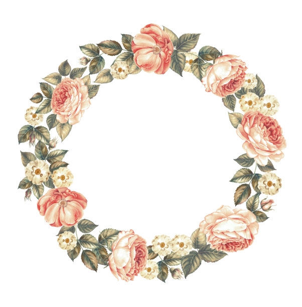 橙色玫瑰框架在圆形的形状的插图。复古圆形框架玫瑰，画在水彩风格。孤立的白色背景。图片下载