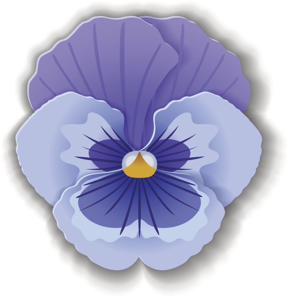 纸艺术堇型花。图片下载