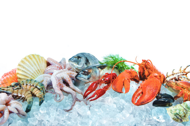 新鲜的海鲜放在碎冰上图片下载