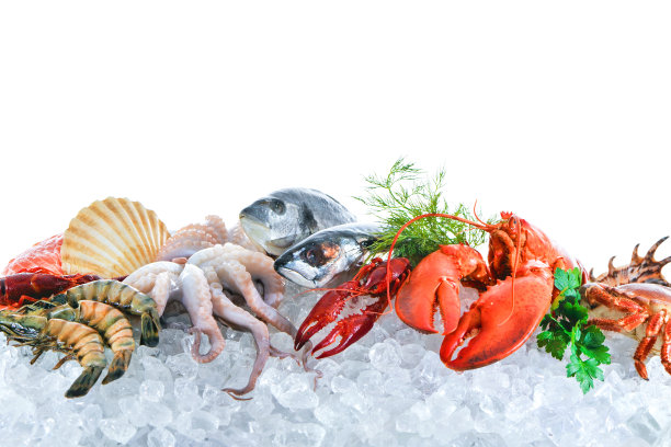 新鲜的海鲜放在碎冰上图片下载
