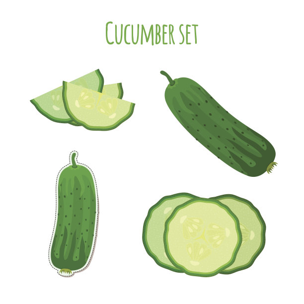 黄瓜组制作在卡通扁平风格。标签市场素材图片