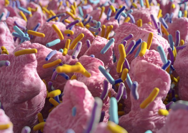 细菌图片素材ID：161332618