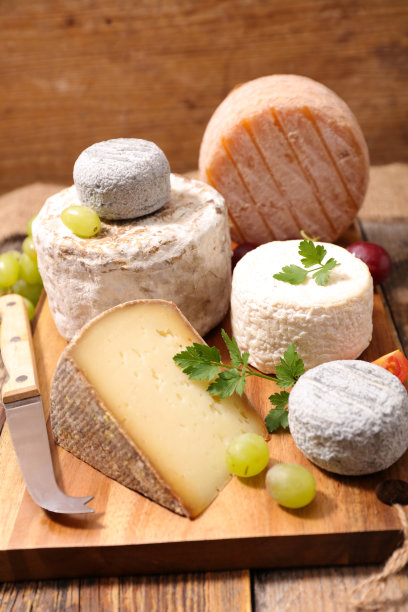 各种各样的奶酪图片下载