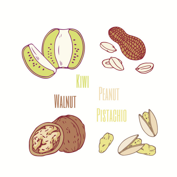 一套甜配料猕猴桃，花生，核桃和开心果。手绘的食物图片下载
