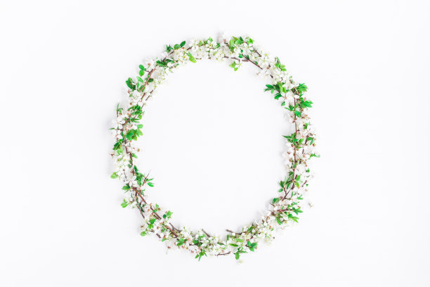 用苹果树花做成的框架。平躺，俯视图图片下载