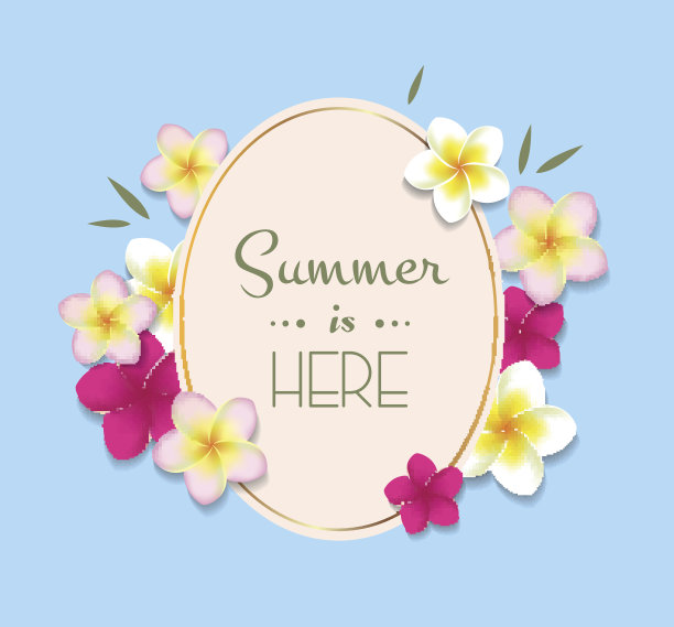 夏季插图与框架和花图片下载